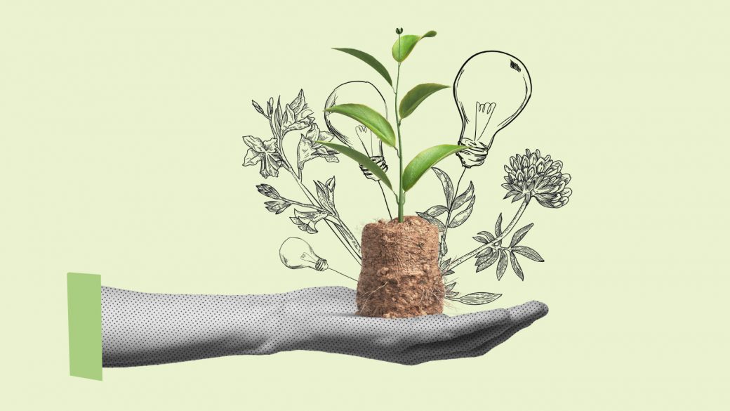 2025 Edition of EUIPO SME Fund to Be Launched Shortly
