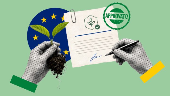 Il nuovo Regolamento UE sulle Nuove Tecniche Genomiche (NGT): tra innovazione agritech e il nodo della brevettabilità